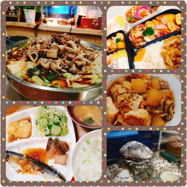 f:id:harue818:20181123165311j:plain f:id:harue818:20181123165311j:plain