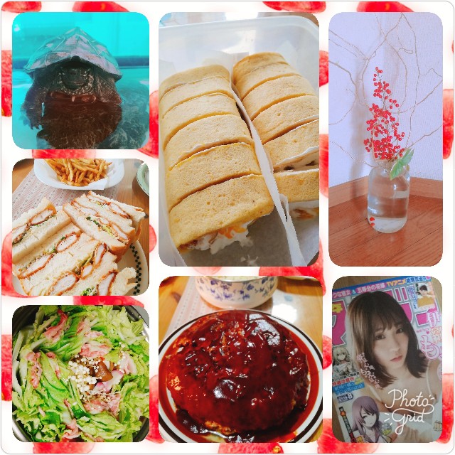 f:id:harue818:20190127153544j:plain