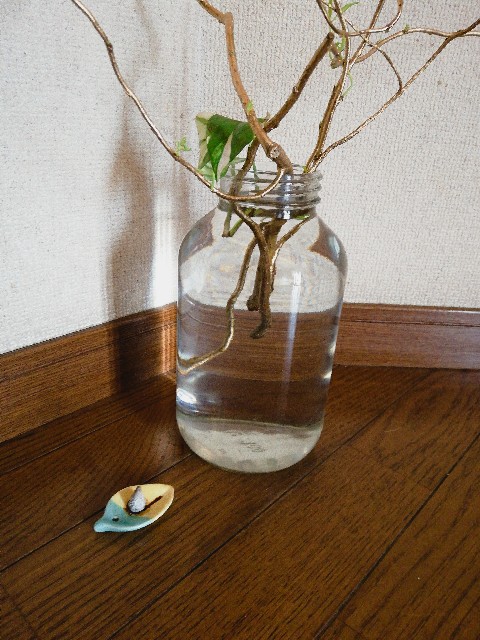 f:id:harue818:20190223142006j:image