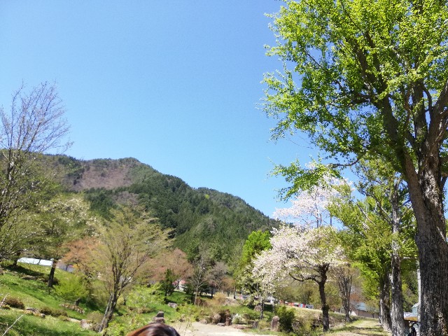 f:id:harue818:20190504161537j:plain