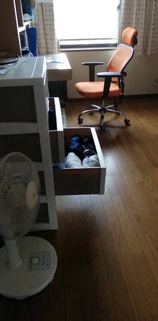 f:id:harue818:20190531082134j:plain