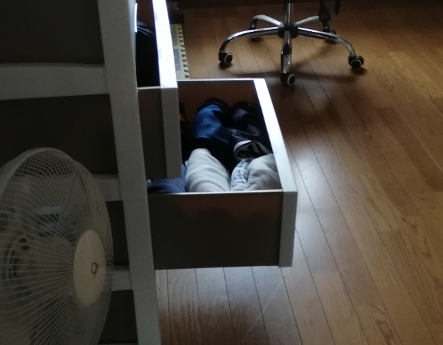 f:id:harue818:20190607180125j:plain