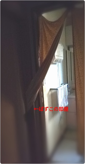 f:id:harue818:20190904222839j:plain f:id:harue818:20190904222839j:plain