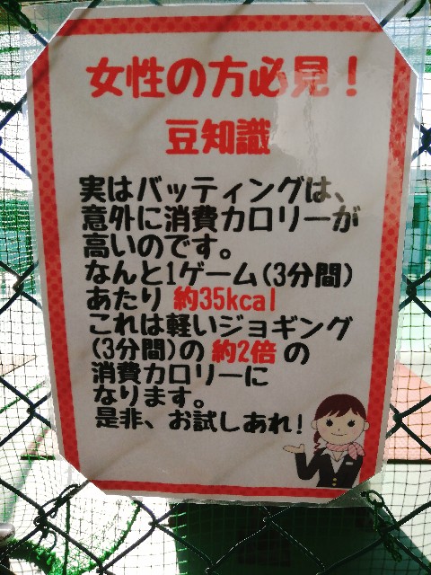 f:id:harue818:20191231224509j:plain