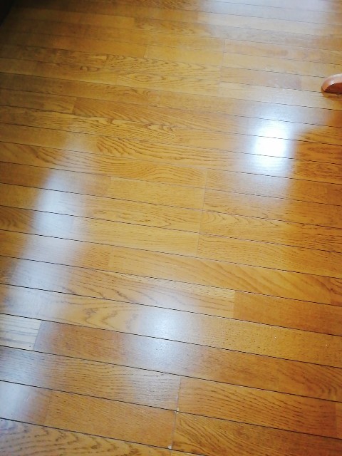 f:id:harue818:20200327154401j:plain f:id:harue818:20200327154401j:plain