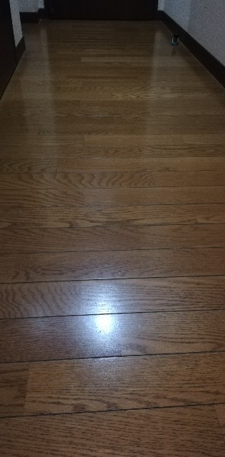 f:id:harue818:20200404221743j:plain