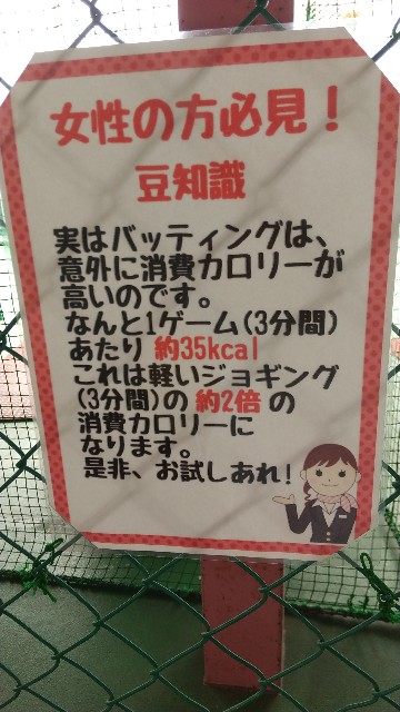 f:id:harue818:20200520134154j:plain