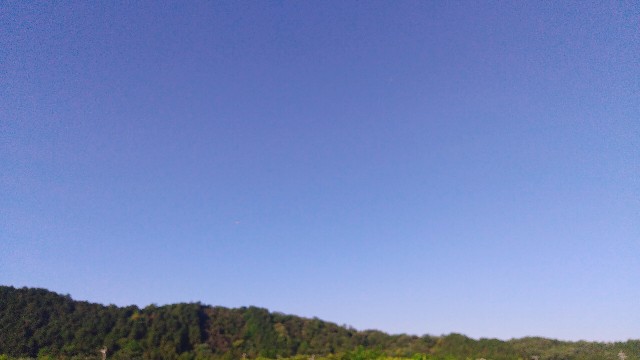 f:id:harue818:20200529184759j:plain f:id:harue818:20200529184759j:plain