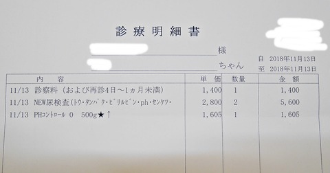 猫が膀胱炎になって大慌て!!症状・診察内容・治療法・費用について 