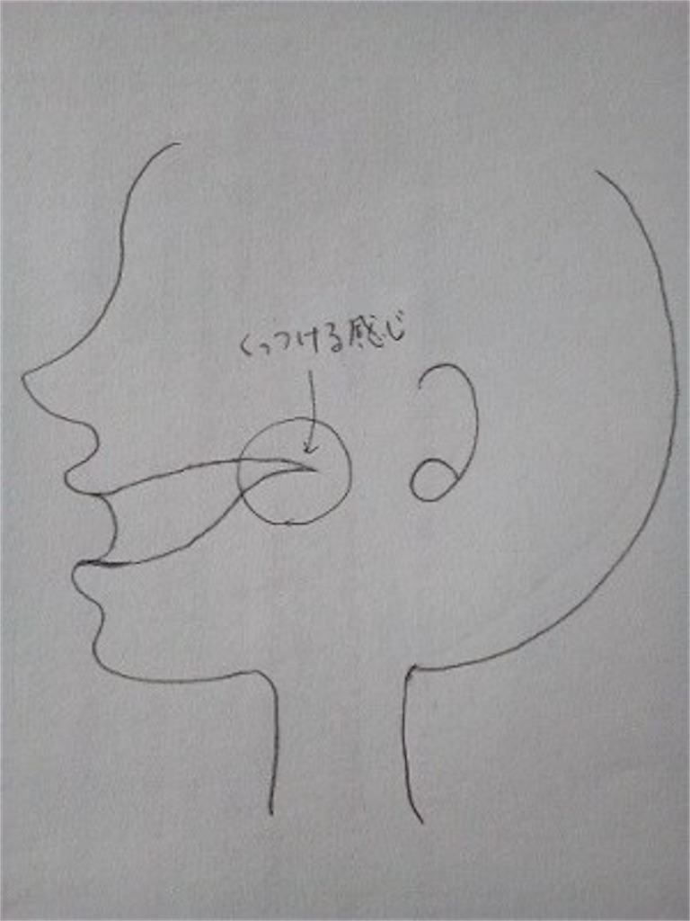 f:id:haruharu1214:20210309221442j:image f:id:haruharu1214:20210309221442j:image