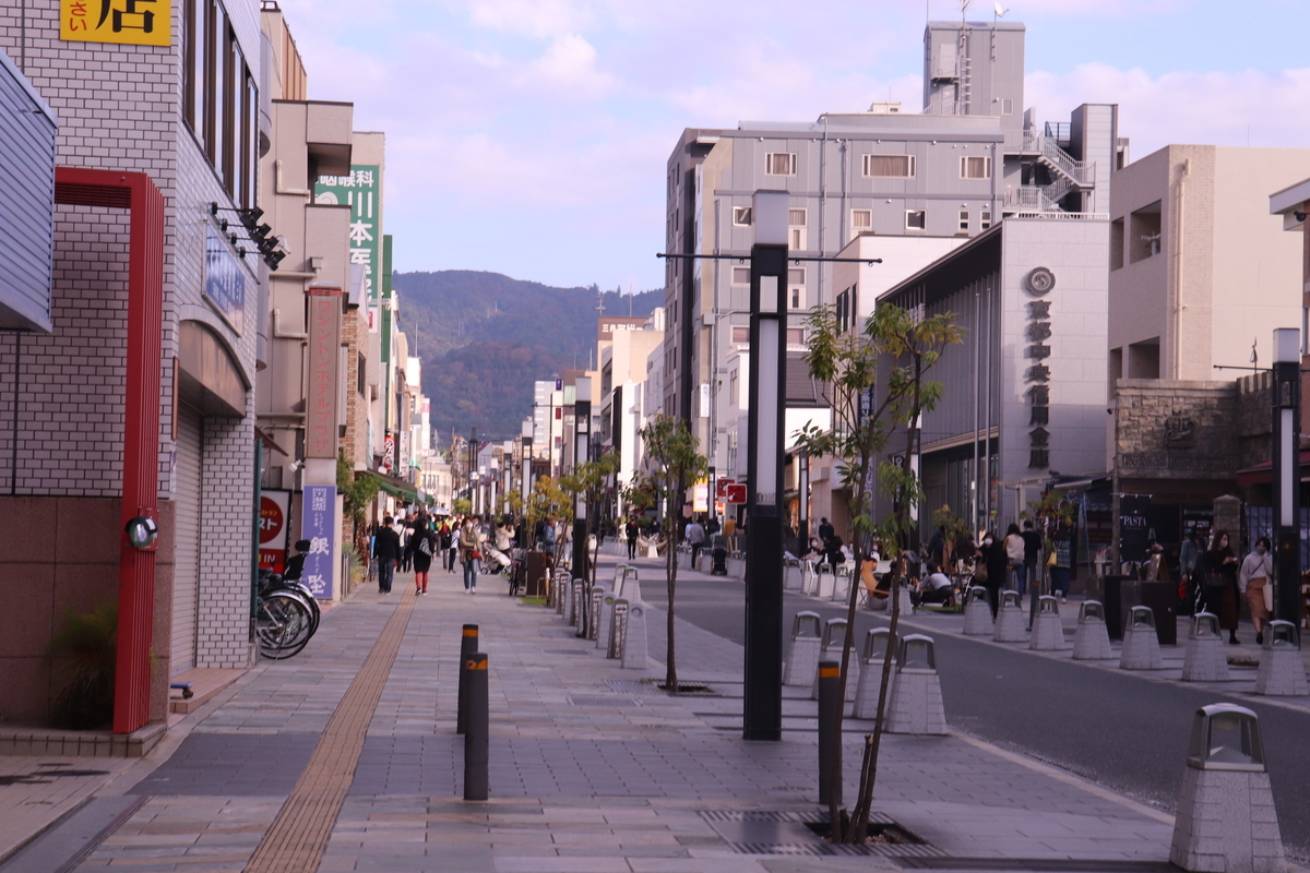 f:id:haruharudesu:20201206004131j:plain