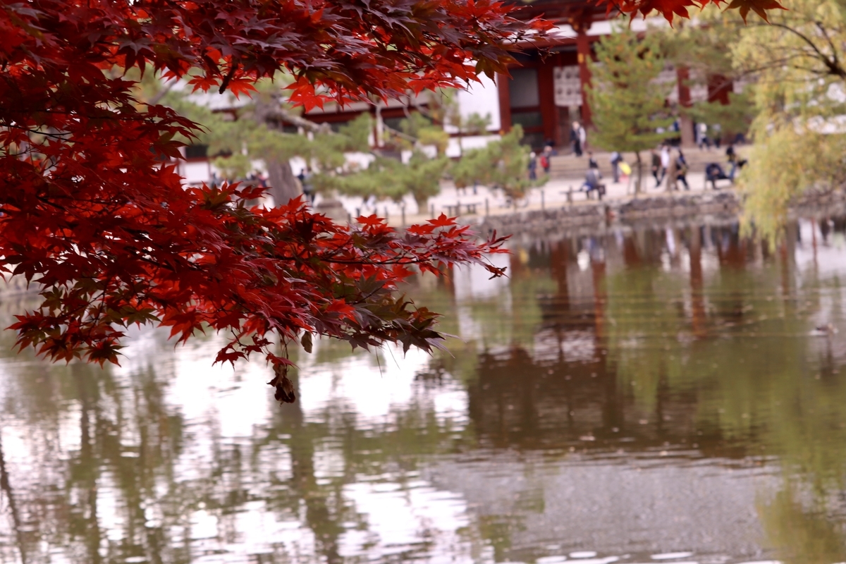 f:id:haruharudesu:20201206004650j:plain