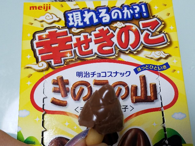 幸せきのこｷﾀ ﾟ ﾟ きのこの山 しかし ゲームがなければ生きていけない そう ゲームこそ人生