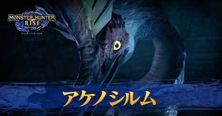 モンハンライズ イベントクエスト 雪風に舞う朱の唐傘 が配信されてた W モンスターハンターライズ狩り生活