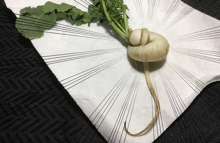 うずくまる大根 逆ド根性大根 面白い大根が取れた 八神春彦 事柄広め