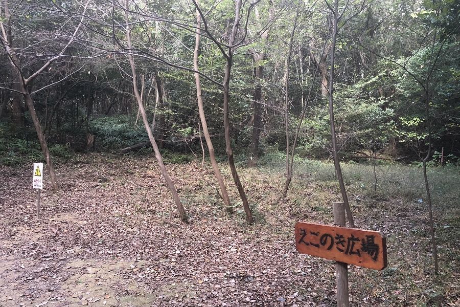 篠栗九大の森