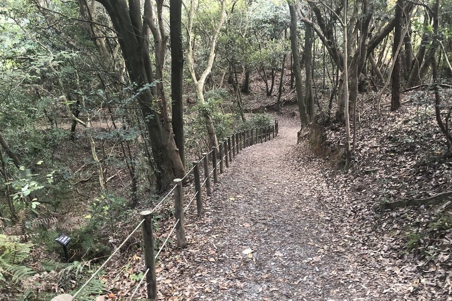 篠栗九大の森
