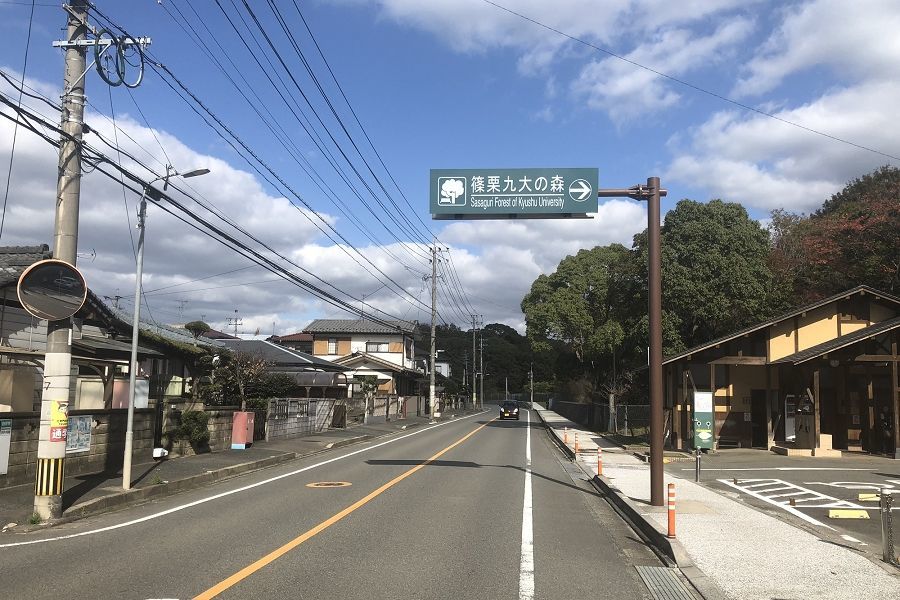 篠栗九大の森