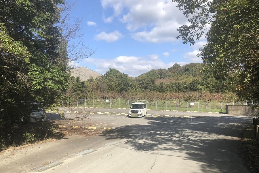 篠栗九大の森