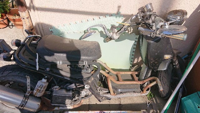 f:id:haruhisandoria:20220304221547j:image