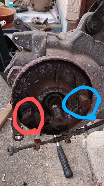 f:id:haruhisandoria:20220325235832j:image