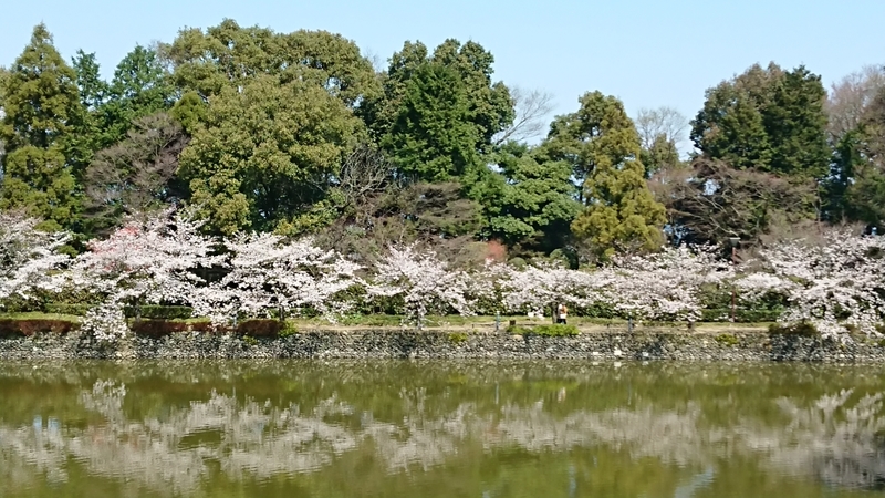 f:id:haruirolemonade:20190403105114j:plain