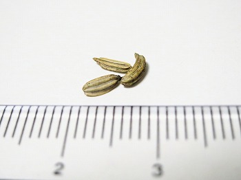 f:id:haruirosoleil:20180519044719j:plain