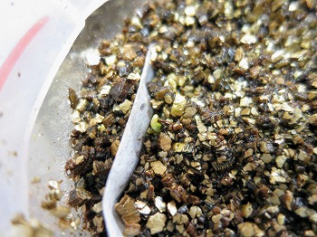 f:id:haruirosoleil:20180524194642j:plain