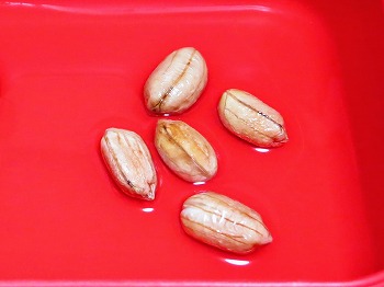 f:id:haruirosoleil:20180603064925j:plain