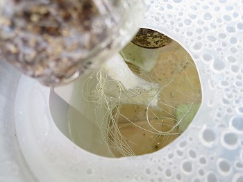 f:id:haruirosoleil:20180616112416j:plain