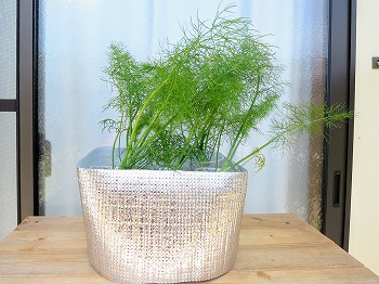 f:id:haruirosoleil:20180630134320j:plain