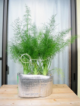 f:id:haruirosoleil:20180715080256j:plain