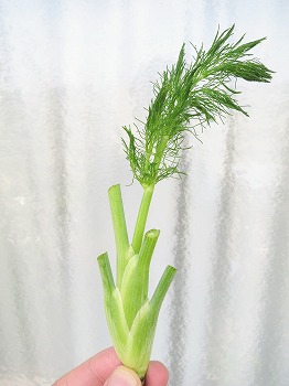 f:id:haruirosoleil:20180722084440j:plain