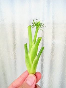 f:id:haruirosoleil:20180722084441j:plain