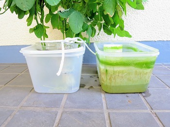 f:id:haruirosoleil:20180826105403j:plain f:id:haruirosoleil:20180826105403j:plain