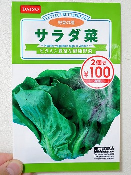 発芽失敗】晩秋に「サラダ菜」を水耕栽培。できれば害虫の被害を