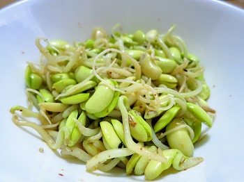 乾燥大豆から 豆もやし を栽培 食用の種でも上手く発芽するでしょうか 春色ソレイユ
