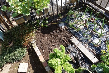 f:id:haruirosoleil:20200223144845j:plain