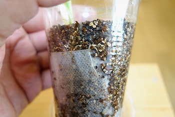 f:id:haruirosoleil:20200510153004j:plain