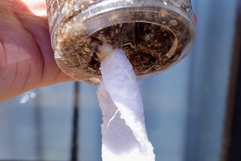 f:id:haruirosoleil:20200510153025j:plain