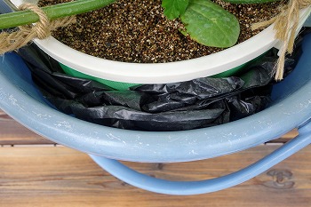 f:id:haruirosoleil:20200516204527j:plain