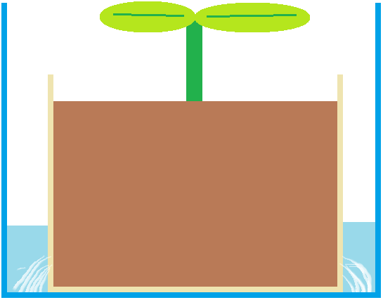 f:id:haruirosoleil:20200517062813p:plain