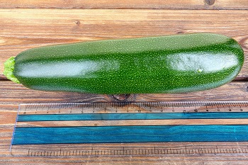 f:id:haruirosoleil:20200601052227j:plain