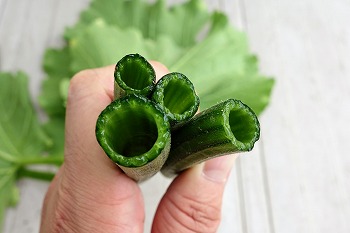 f:id:haruirosoleil:20200601052247j:plain