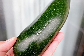 f:id:haruirosoleil:20200605062755j:plain