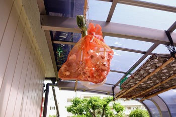 f:id:haruirosoleil:20200605192647j:plain