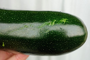 f:id:haruirosoleil:20200607123552j:plain