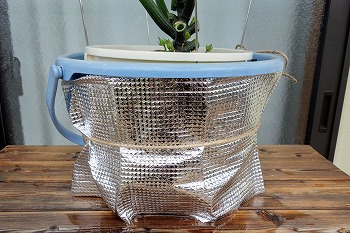 f:id:haruirosoleil:20200607124135j:plain