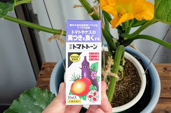 f:id:haruirosoleil:20200613130735j:plain