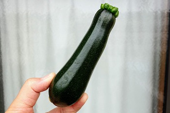 f:id:haruirosoleil:20200614141629j:plain